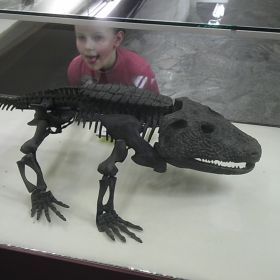 Moscow Museum of Paleontology
